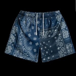 Bravest Studio Navy Patchwork Paisley Shorts NWT Sz L